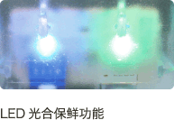 LED光合保鲜功能