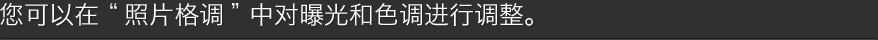 您可以在照片风格中对曝光和色调进行调整。