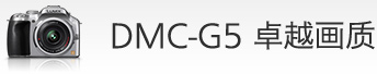 DMC-G5 卓越画质