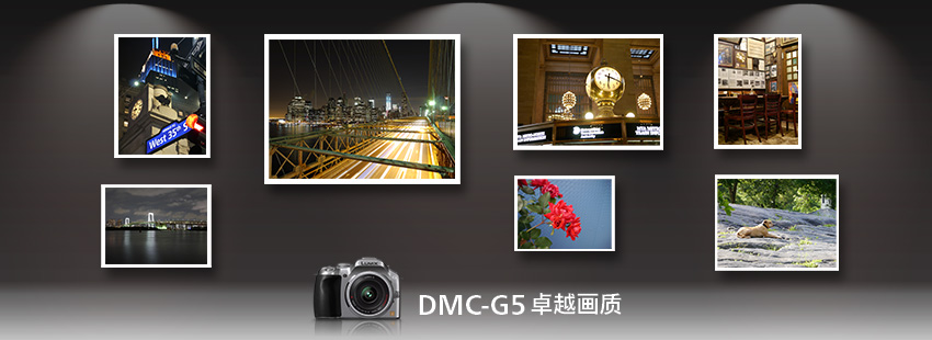 DMC-G5 卓越画质