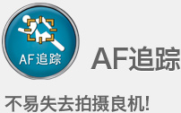 AF追踪