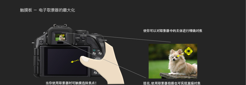 DMC-G5