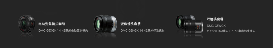 DMC-G5