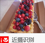 近摄识别