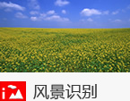 风景识别