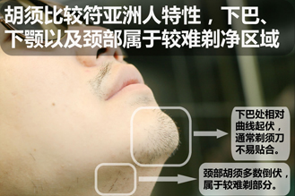胡须比较符合典型亚洲人的胡须