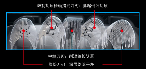 功能示意
