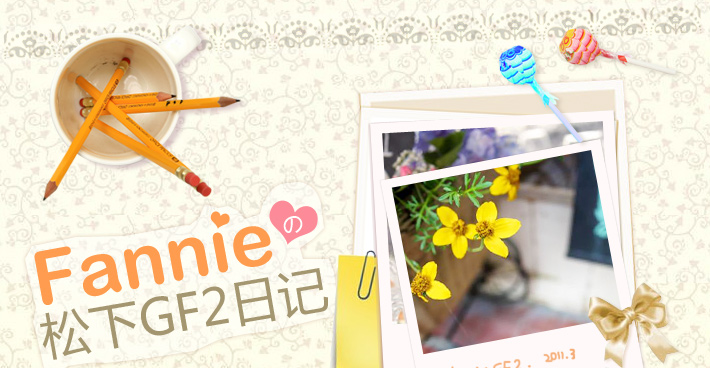 fannie松下GF2日记