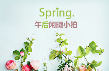 Spring午后闲暇小拍