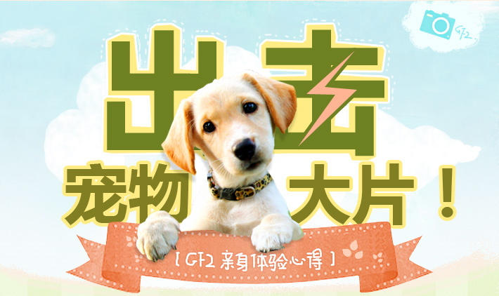 宠物大片出击