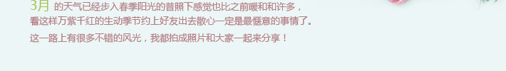 午后闲暇小拍