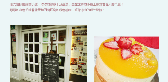 午后闲暇小拍