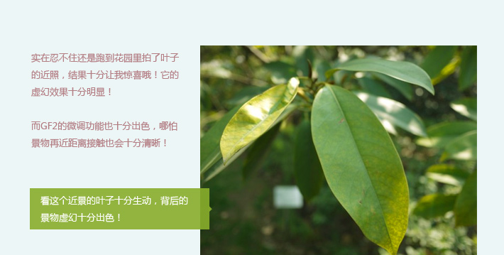 午后闲暇小拍