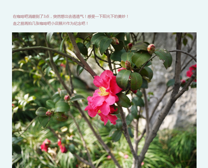 午后闲暇小拍