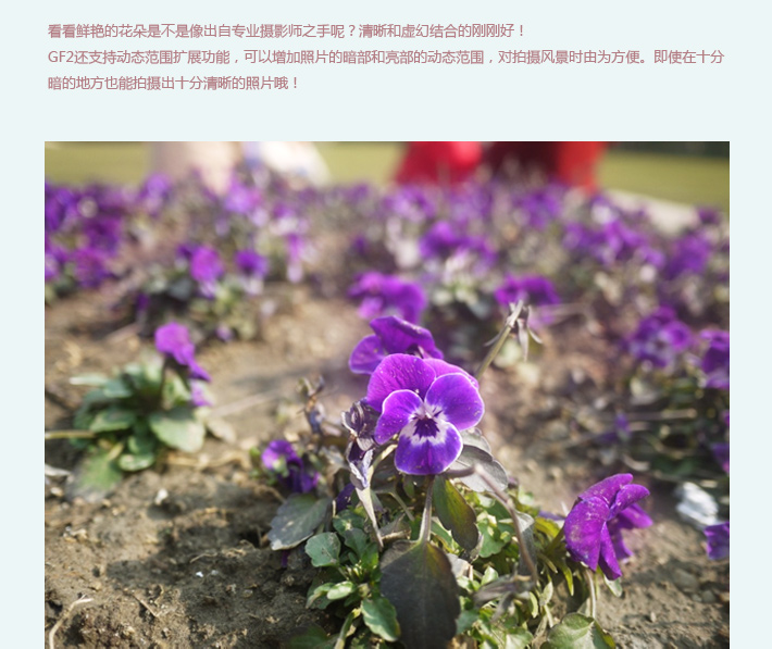 午后闲暇小拍