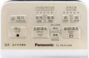 Panasonic